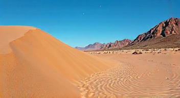 Das sind die Top 7 Schritte beim Erkunden der Lieberoser Wüste