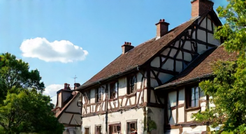 Oettingen und die historische Storchendichte (5/10)